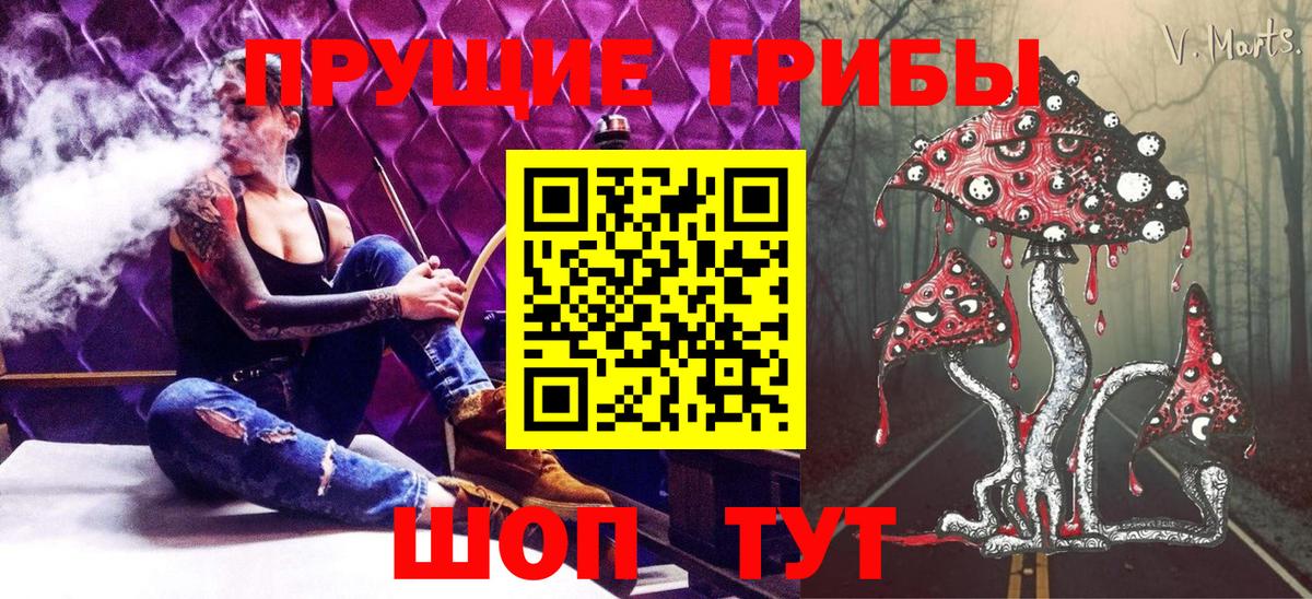 Галлюциногенные грибы Psilocybe  купить   Шелехов  Вход с VPN 