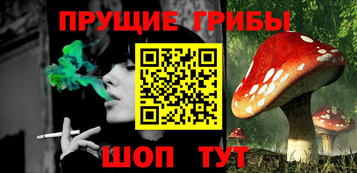 Псилоцибиновые грибы ЛСД Шелехов